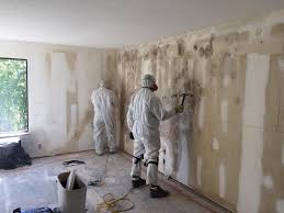 Best Mold Documentation for Insurance Claims in Heber, CA